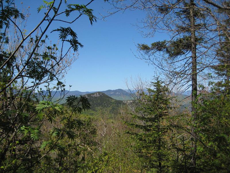 SqLedge (10).JPG - A short distance down the Passaconaway cut-off trail we found an opening in the woods. We had a great view of Mt. Hedgehog.